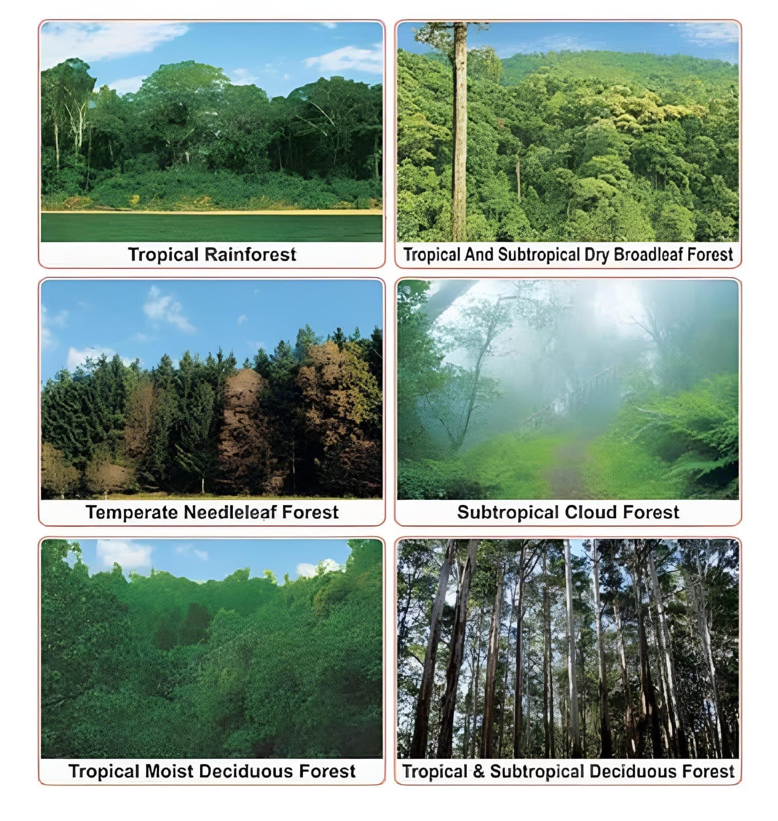 Activity Image 2