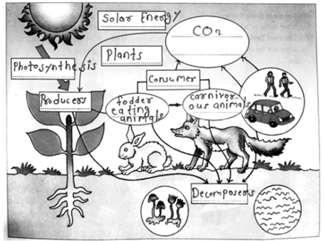 Solution Illustration