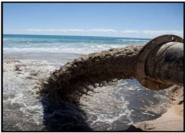 Activity Image 1