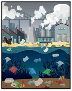 Activity Image 1