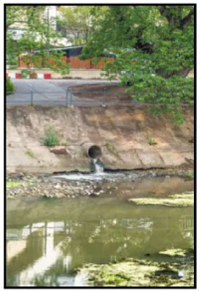 Activity Image 1